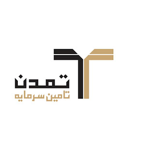 tamin-sarmaye
